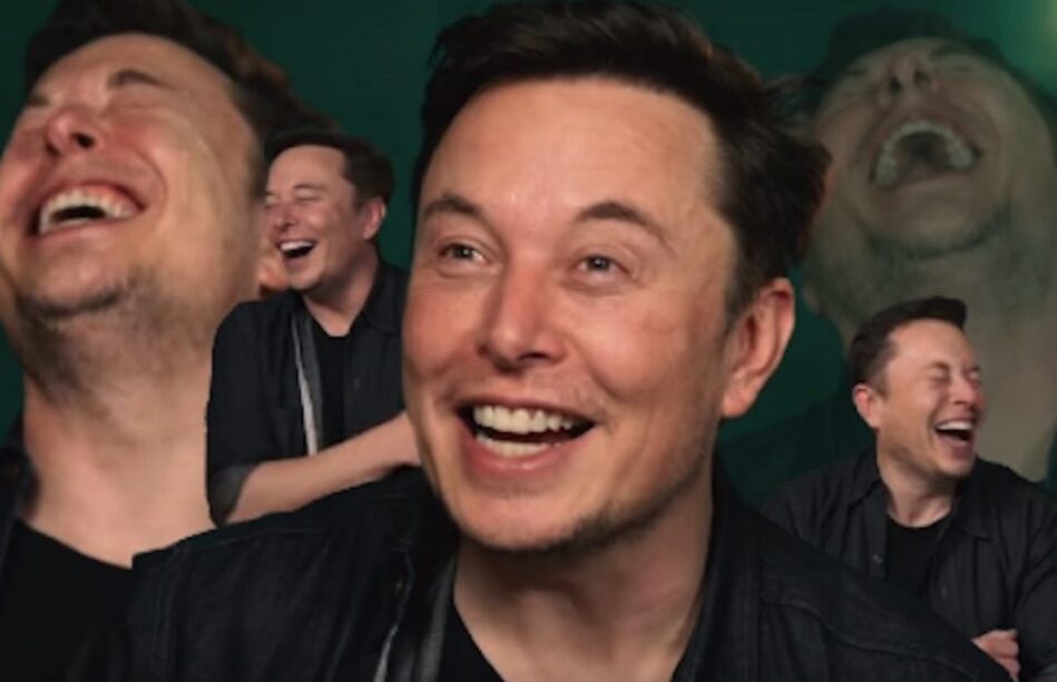 Musk Tesla trollen