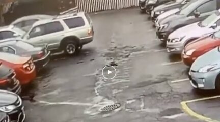 Video: rustig uit een parkeervak rijden...