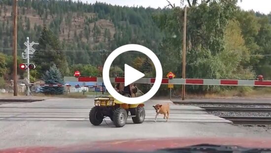 Video: man met quad heeft lak aan naderende trein