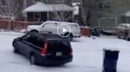 Video: sneeuw en onervaren bestuurders is een gouden combi