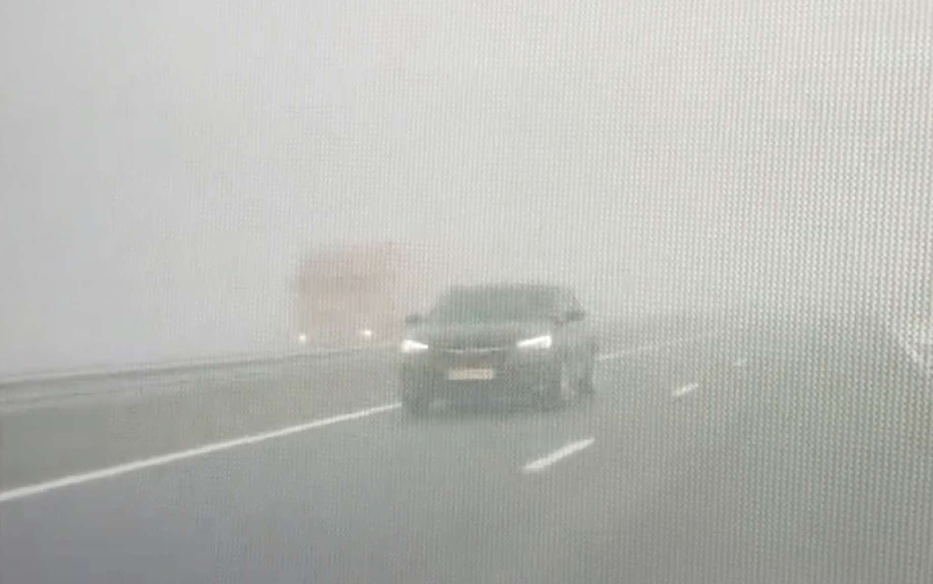 Video: spookrijder in de mist komt ineens tevoorschijn!