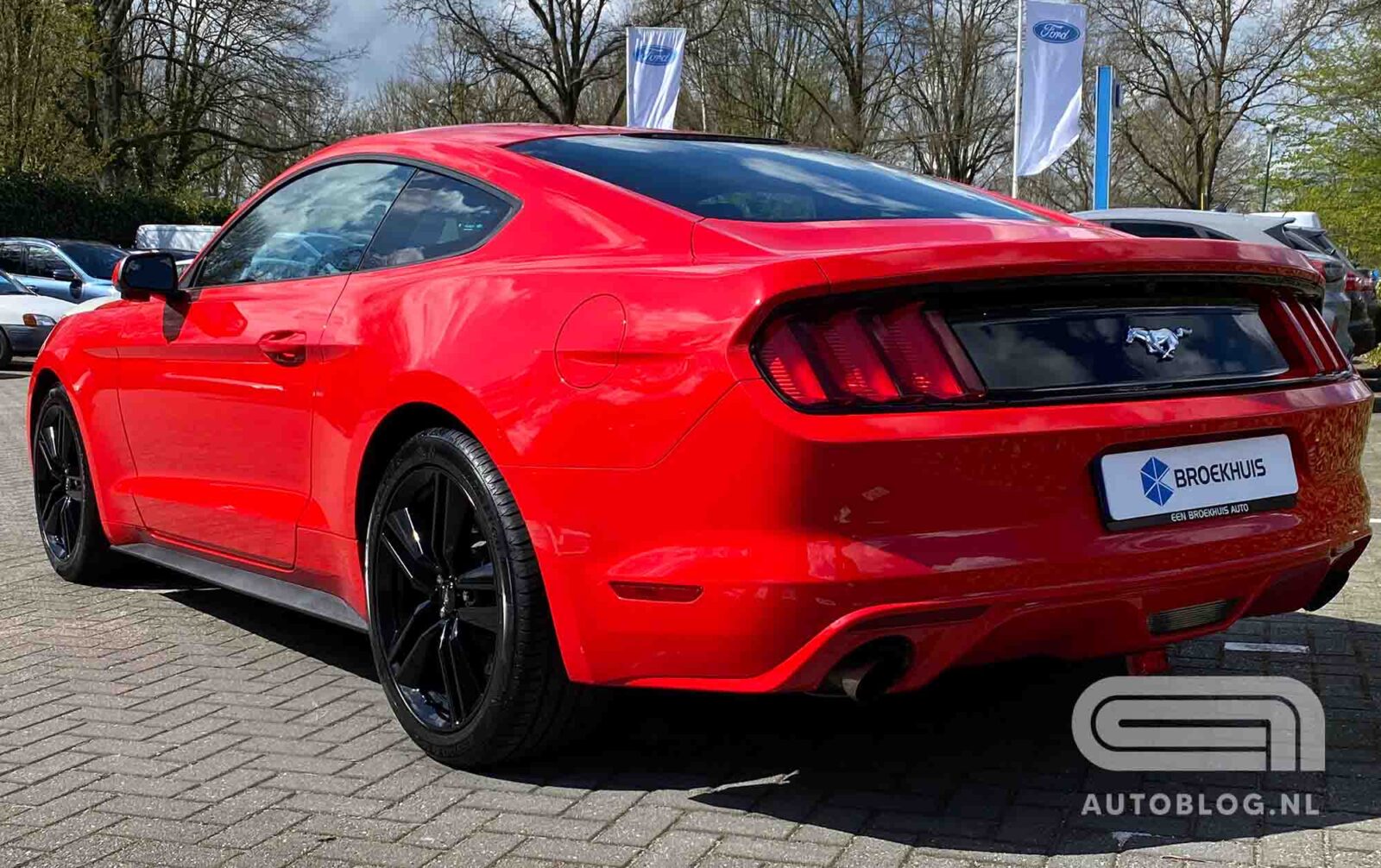 Ford Mustang occasion